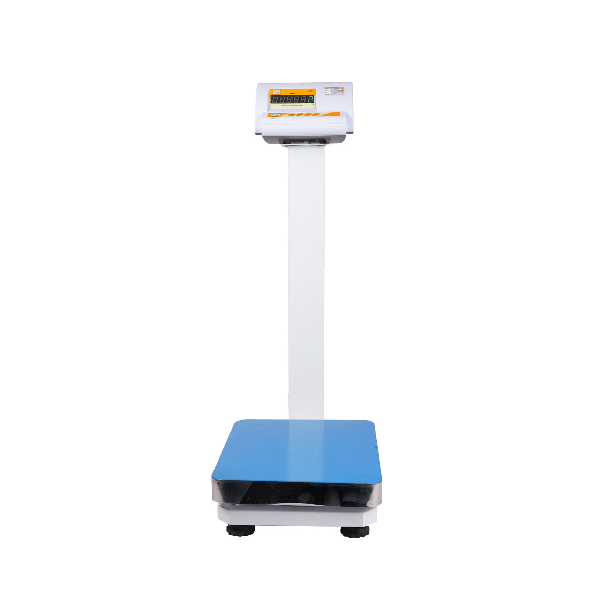 Adult scale-2