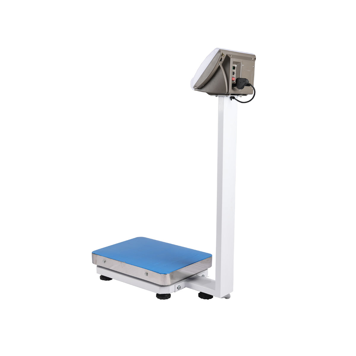 Adult Scale