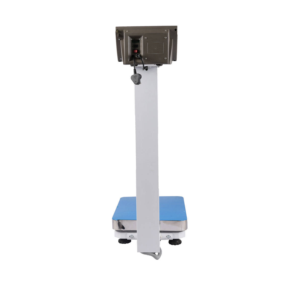 Adult Scale