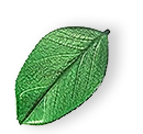 https://thewebsitedemo.in/worxurynew/wp-content/uploads/2025/07/floating_leaf_01.png